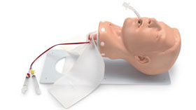Adult Deluxe Airway Management Trainer with Board 